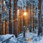 Diwali photo video maker songs